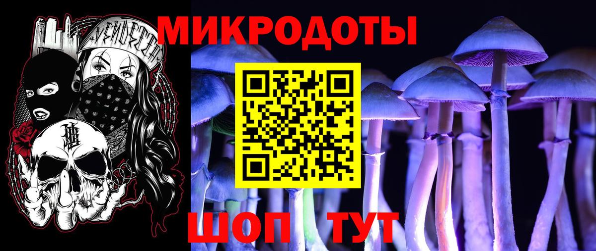 Галлюциногенные грибы Psilocybe  купить закладку  Псилоцибиновые грибы MAGIC MUSHROOMS  Отрадное  Вход с VPN 